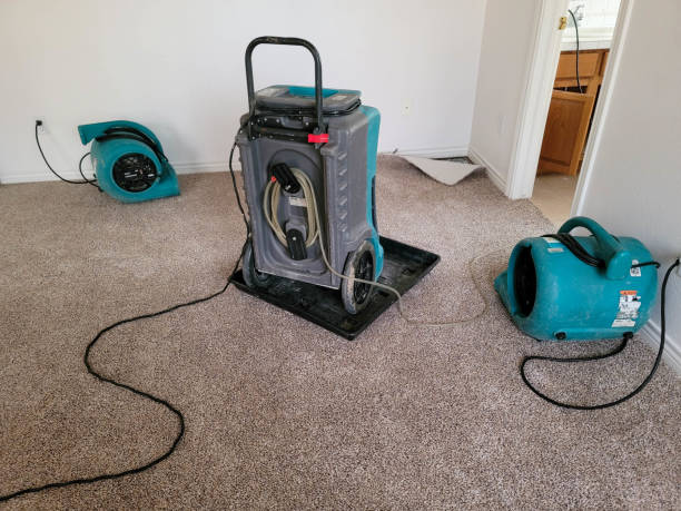 Best Water damage restoration near me  in Brightwood, VA
