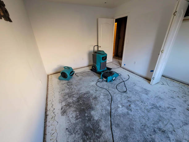 Best Emergency water damage restoration  in Brightwood, VA