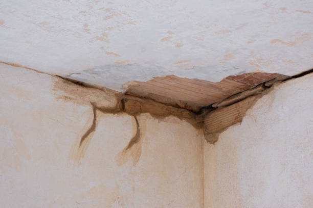 Best Water damage contractors near me  in Brightwood, VA