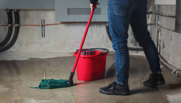Best Professional water damage repair  in Brightwood, VA