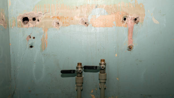 Professional Water damage restoration in Brightwood, VA