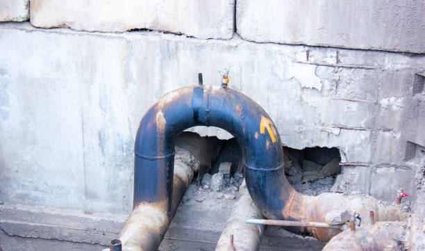 Best Professional water damage repair  in Brightwood, VA