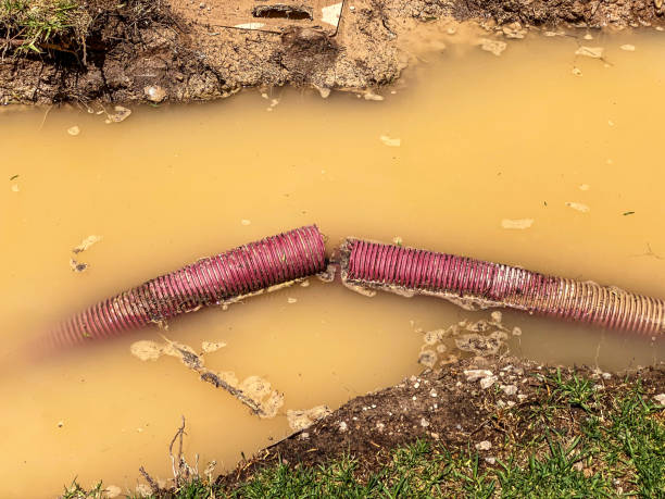 Best Water damage contractors near me  in Brightwood, VA
